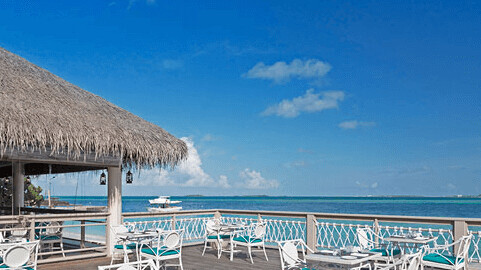 Malahini Kuda Bandos 